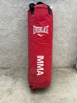 Everlast Punching Bag