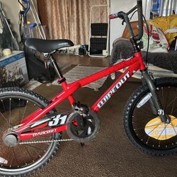 Kids 20” Wipe Out Bike red