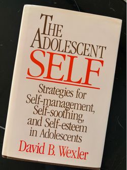 THE ADOLESCENT SELF by David B. Wexter