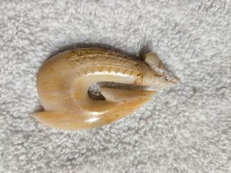 Marlin Bill Carved Pendant