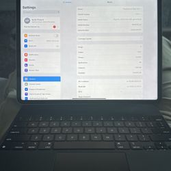 Ipad Pro 12.9 Inch (5th Gen) 256gb