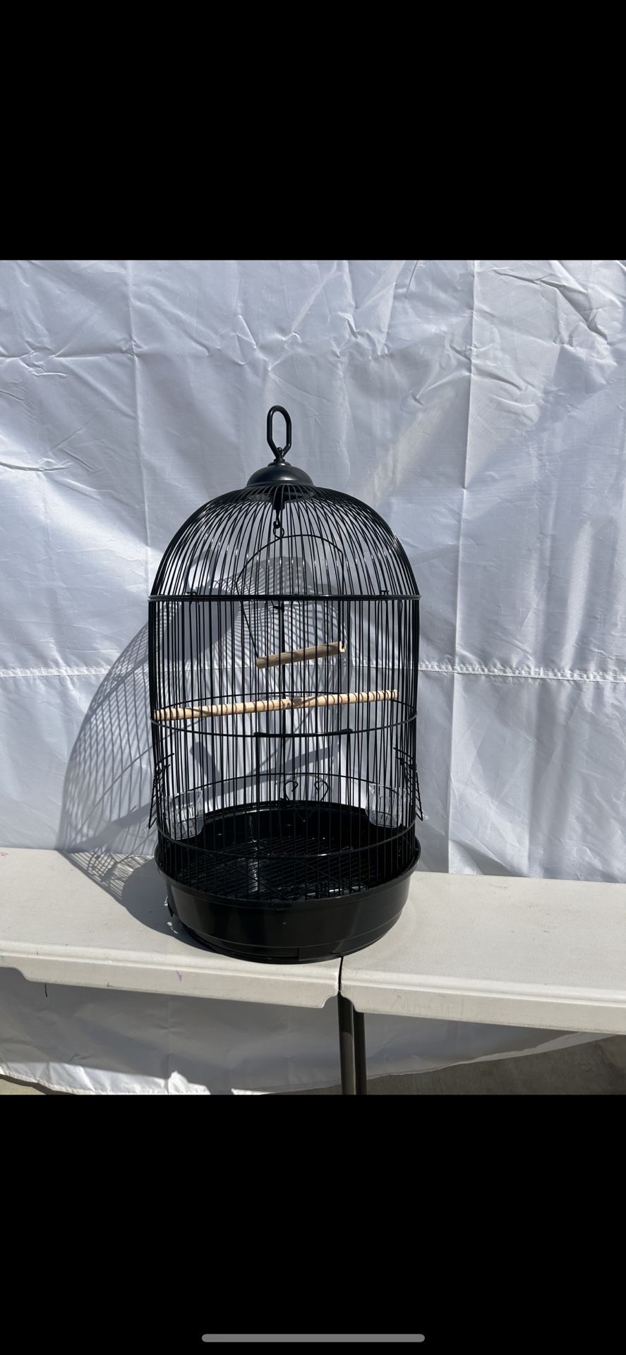 Bird Cage