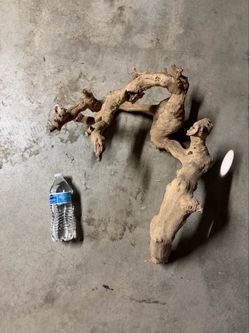 Large Driftwood