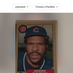 Andre Dawson Baseball Card 