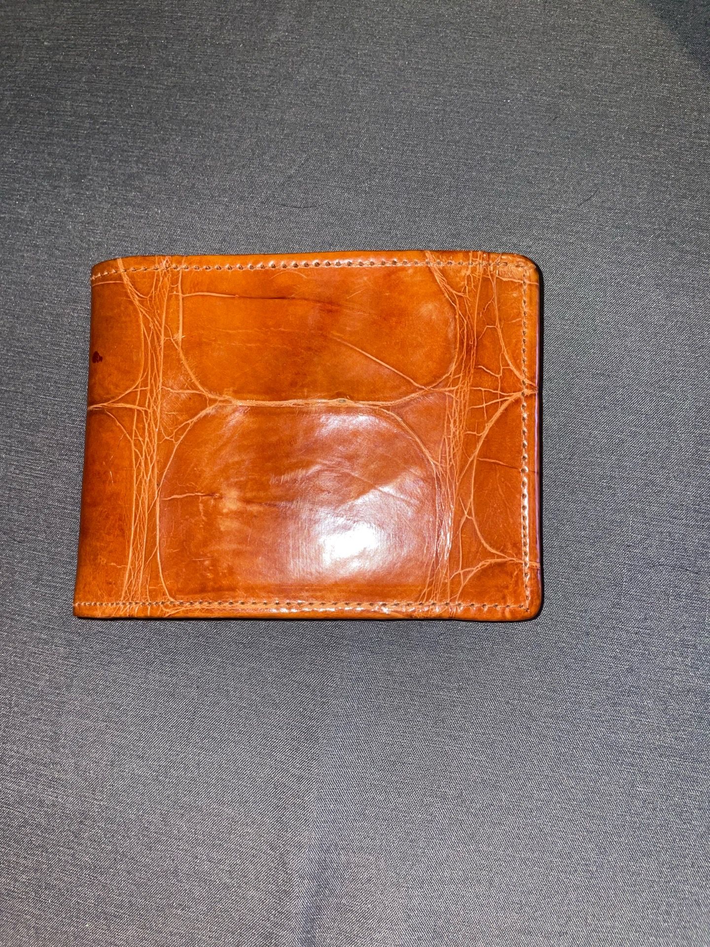 Alligator wallet