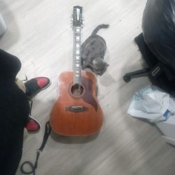 eko Ranger XII Vintage Reissue 12-String Dreadnought Acoustic-Electric Guitar
About this product

Eko Guitars Ranger XII VR Eq Honey Burst Acoustic Gu