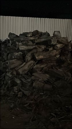 Fire 🔥 wood 🪵 $20.00 a wheelbarrow
