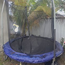 Trampoline 