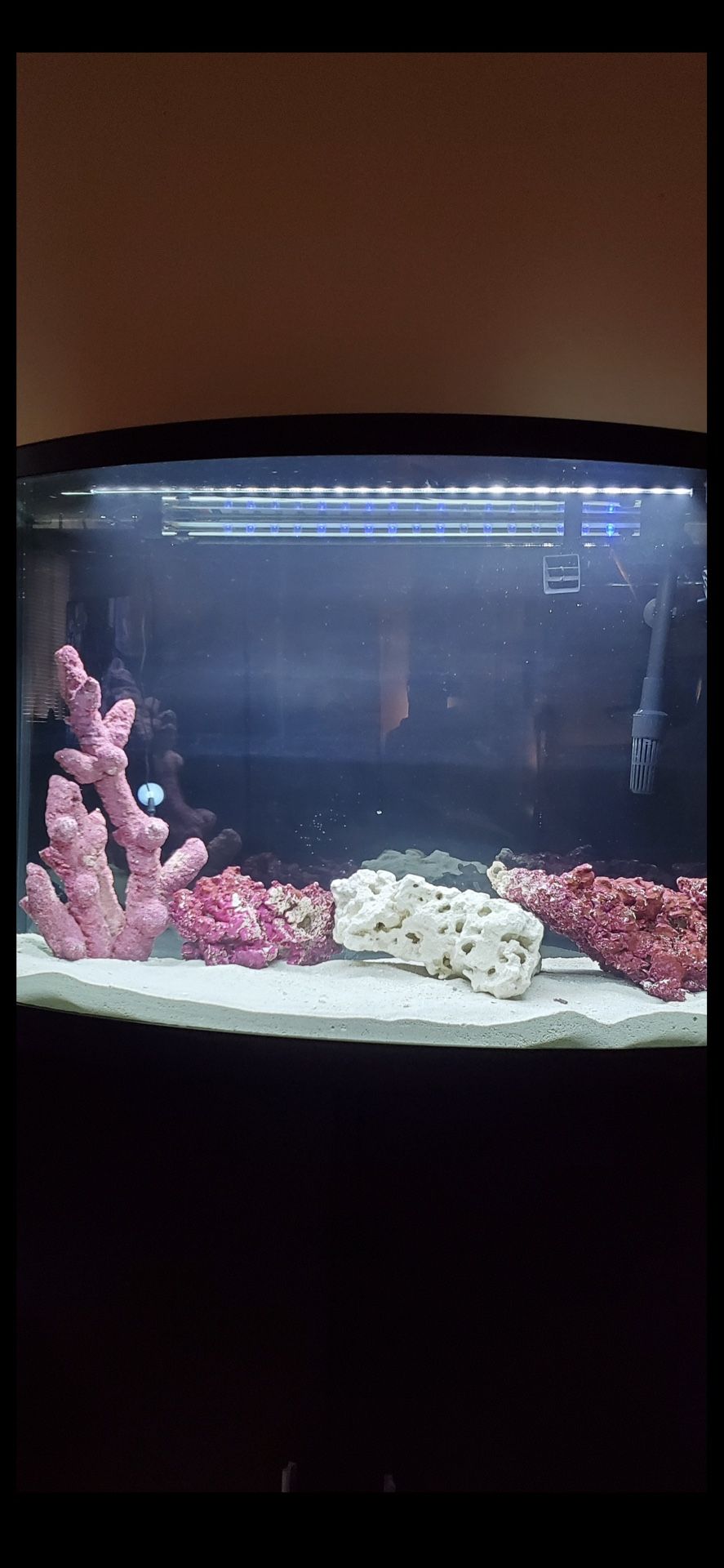 35 Gallon Fish Tank