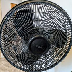 Fan - $15 (Works)