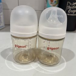 Pigeon Bottles