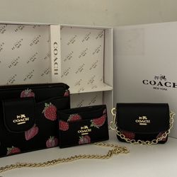 3 Pc Coach Set 