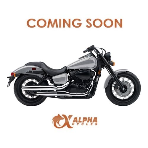 2015 honda vt750 online