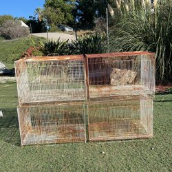 Bird Cages
