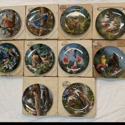 Song Birds By Edwin Knowles Set Of Ten