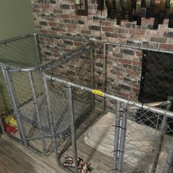 Dog Cage 