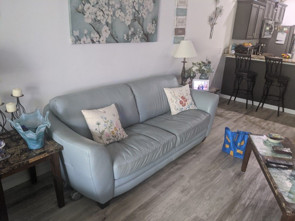 60x30 Italian Leather Aqua Sofa