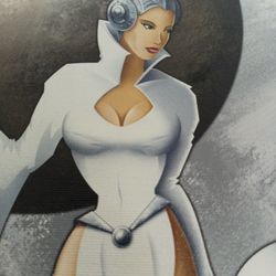 Star Wars Print Numbered . 34/495 . Leia By Mike Kungl . Cash Sales Only .