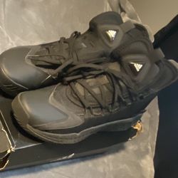 Mens Adidas Pro Boost Gca Low Triple Black