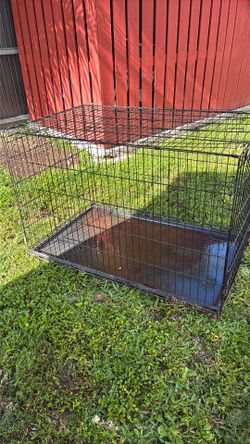 Dog cage XL
