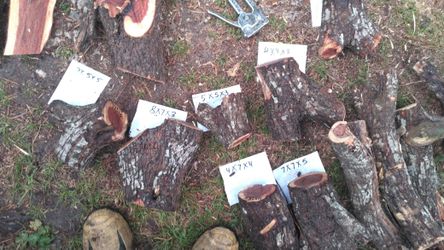 6 mesquite crotch peices. 8 x 8 and smaller