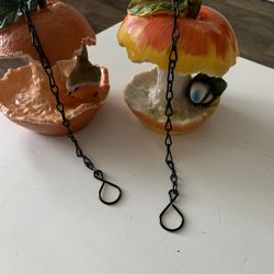 Outside Bird Feeder Both Together $10