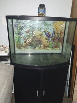 Big fish tank for sale