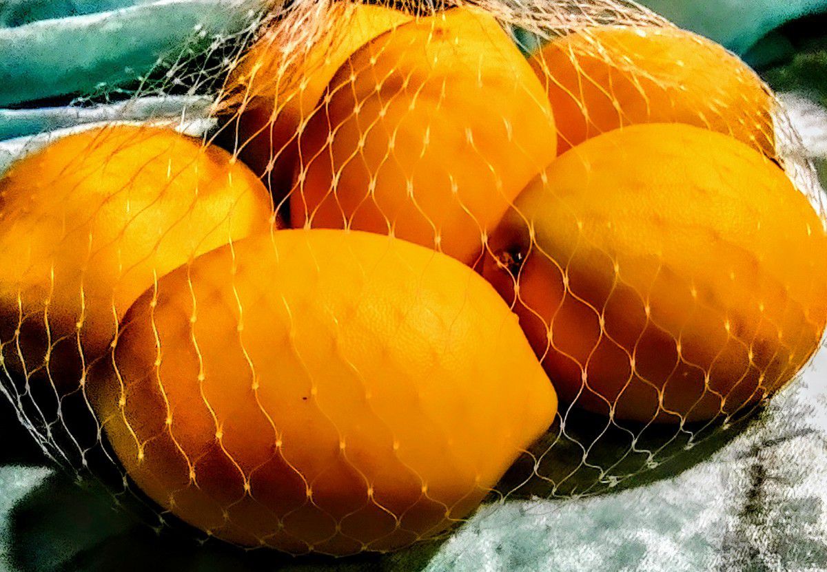 Way Fair Allen Grove False Realistic Lemons 6 In Bag