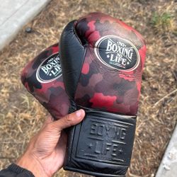 No Boxing No Life Gloves 