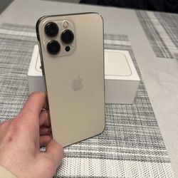 IPhone Thirteen Pro Max Available 