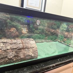 Free Aquarium - 30 Gallon Tank