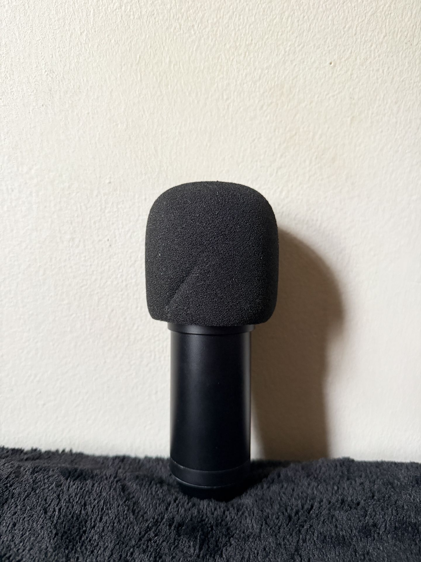 Microphone.