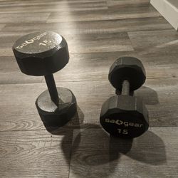15 Lb Dumbells