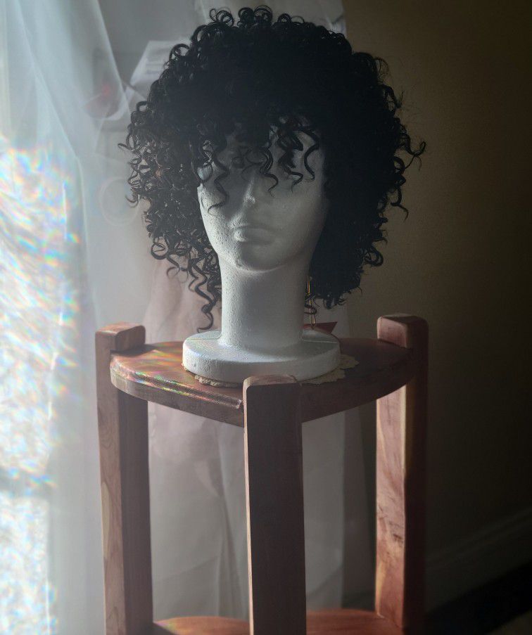 Short Curly Wig