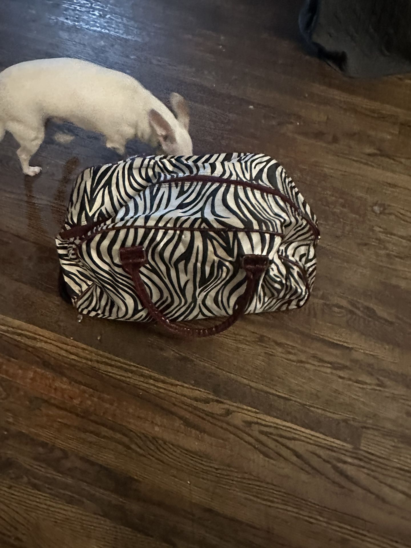 Carry On Case on Wheels