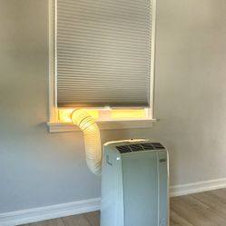 De'Longhi Pinguino 400 sq ft 3 in 1: Air Conditioner, Dehumidifier, Fan