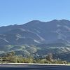 Mountain Breeze