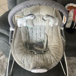 Baby Bouncer