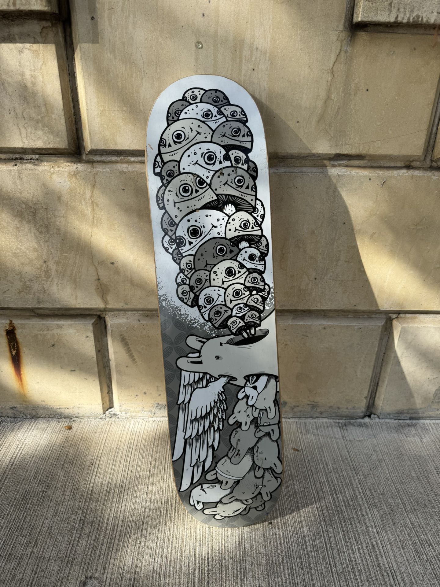 Skatebord