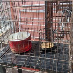 Cages For Sale 