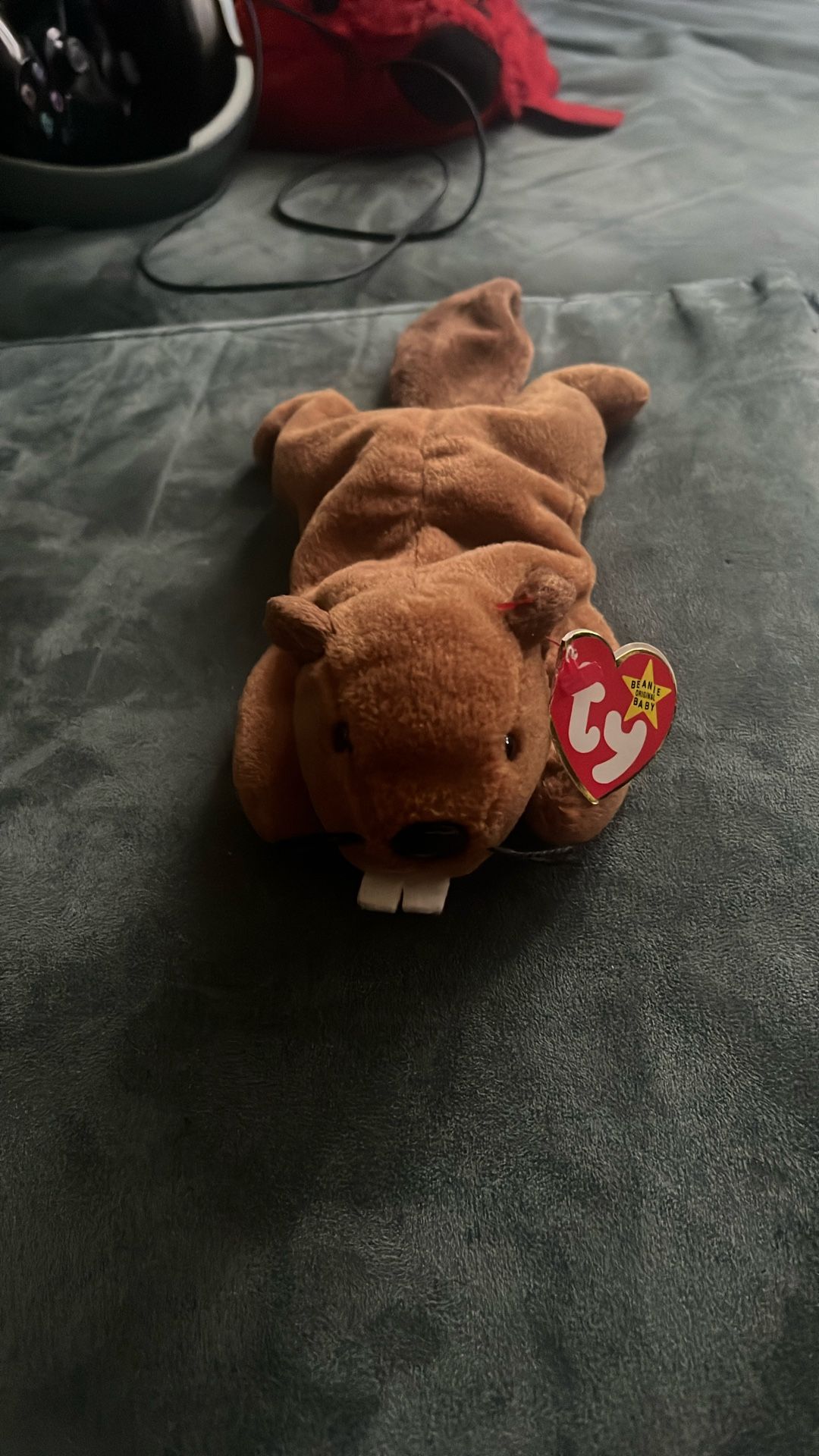 TY the beaver, clean collectible not a toy