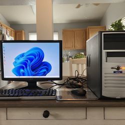 Custom Intel Desktop Computer Windows 11