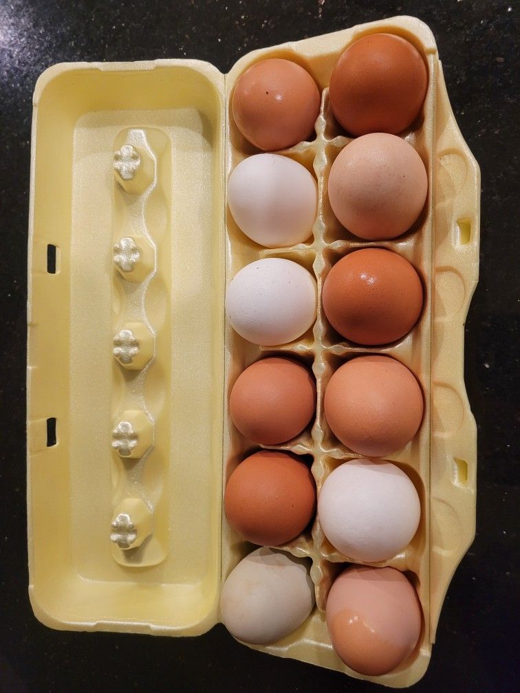 Farm Fresh Eggs $6/Doz