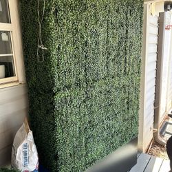Grass Wall Divider 