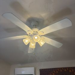 Ceiling Can With lights 