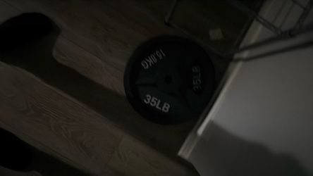 (Weights) 2 35lbs dumbbells, and 2 35lbs plates