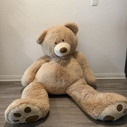Large Teddy Bear
