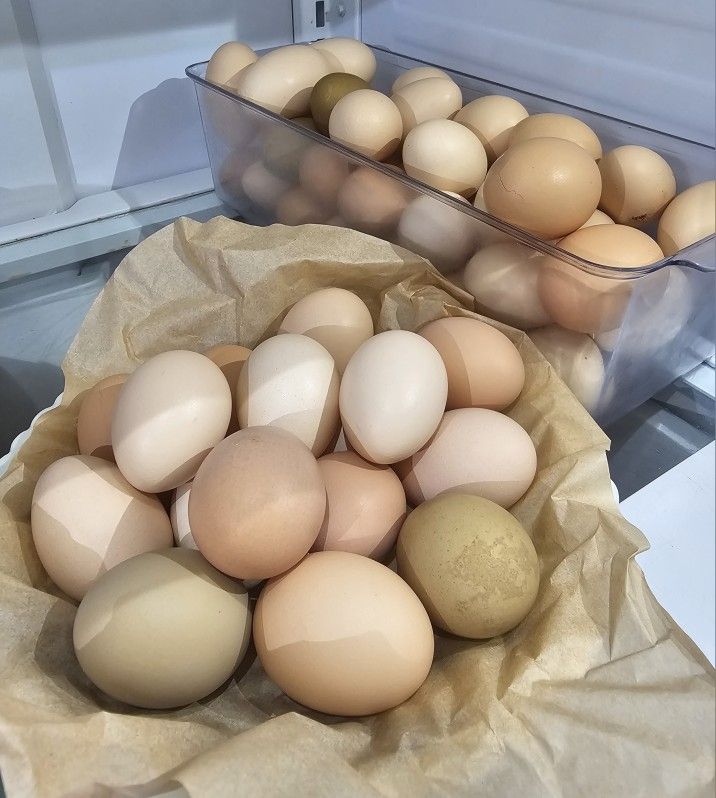 Fresh Organic Eggs