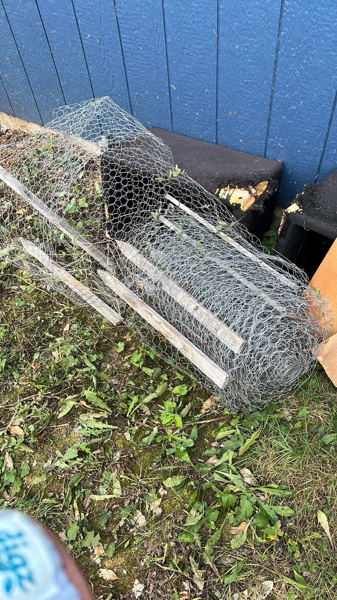 Free Chicken Wire x2