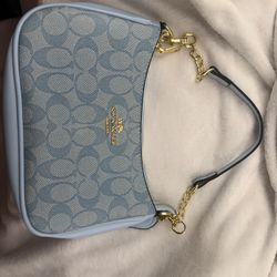 Baby Blue Coach Bag